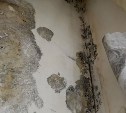  Выданная сироте квартира на Сахалине за полгода заплесневела 