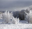 Январские морозы и сильный ветер: прогноз погоды в Сахалинской области на 28 января