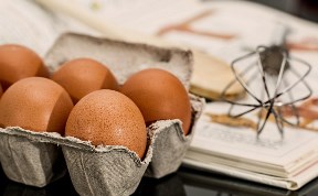 Общество