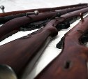 Шесть огнестрельных ружей изъяли у жителей четырёх районов Сахалина
