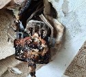 В Поронайске из-за горящих кровати и штор жильцы вынуждены были эвакуироваться 