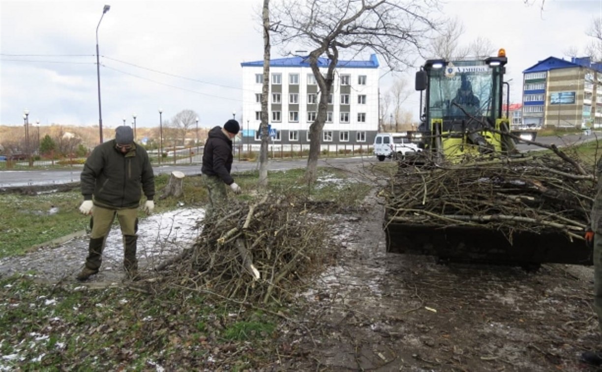 Циклон повалил в Александровске-Сахалинском полсотни деревьев