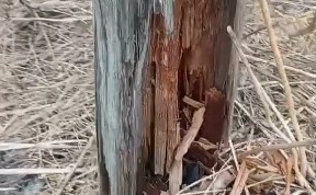 Происшествия