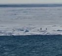 Более 10 сахалинских рыбаков оказались на оторвавшейся льдине - на место прибыли экстренные службы