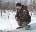 На Сахалине проверяют, нормально ли лесные животные пережили холода