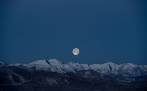Гороскоп