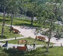 Чьи дети: малолетние вандалы, испоганившие сквер в Поронайске, попали на видео 