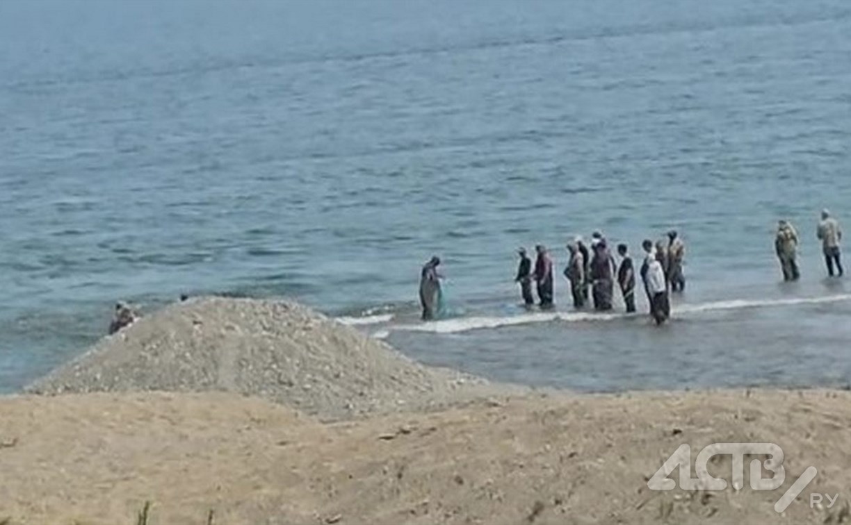 Очевидец: рыбаки-"кошатники" облепили устье реки на Сахалине, один прихватил с собой и сеть