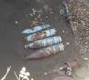 Боеприпасы обнаружены в Южно-Курильском районе у озера Алигер 