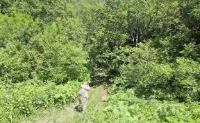 Общество
