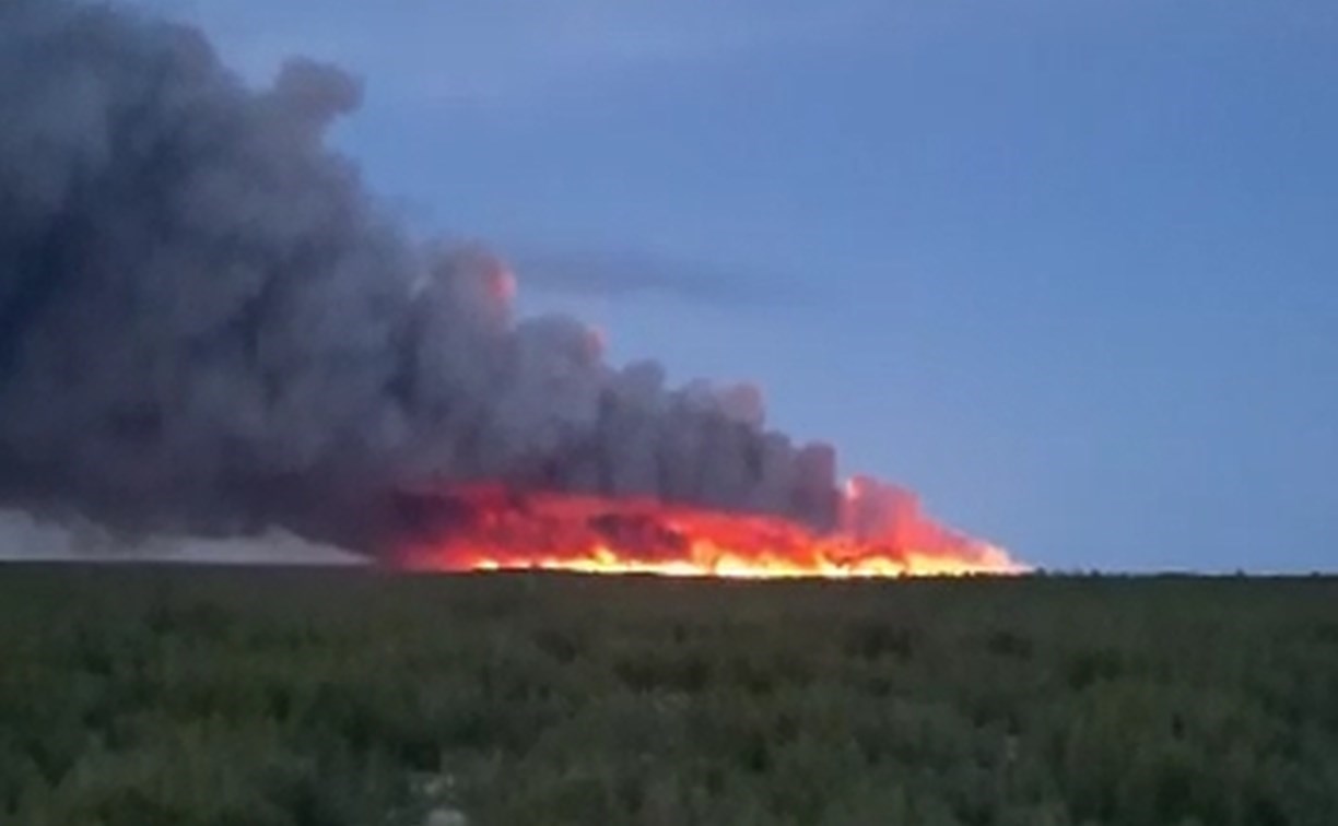 За сутки в Охинском районе лесной пожар "сожрал" ещё 850 га