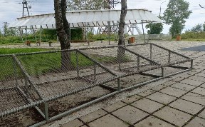 Общество