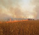 Причиной пожара на Кунашире стал человеческий фактор