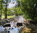 Дожди закончились, наступает прохлада: коротко о погоде на юге Сахалина 25 августа