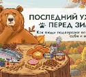 Последний ужин перед зимой: как избежать конфликтов с медведями осенью