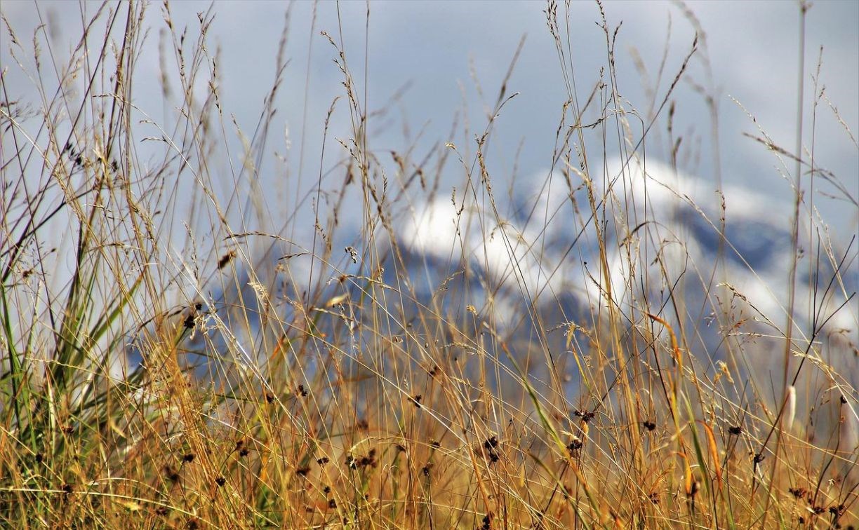 500 гектаров сухой травы выжгут на Сахалине весной и летом 2022 года