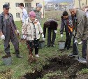 Аллея памяти появилась в Томари