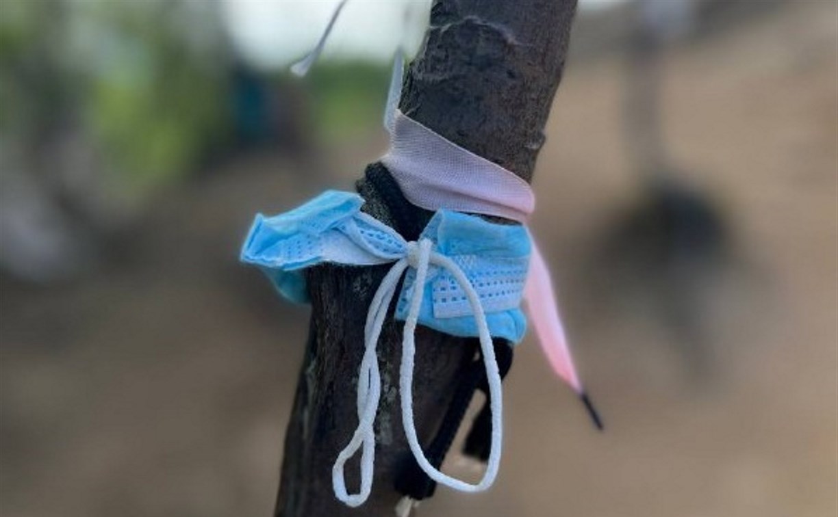 Сахалинцы обижают духов деревьев, оставляя маски и салфетки на ветках