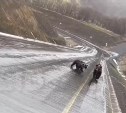 Курильчанин показал, как медведица с детёнышами 9 мая шла домой с "парада" 