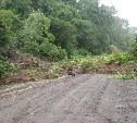 Проезд по автодороге аэропорт Шахтерск — Бошняково восстановлен