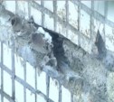 Причину появления трещин в стене южно-сахалинской школы выяснить пока не удалось