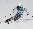 Первенство мира по горнолыжному спорту среди юниоров может пройти на Сахалине