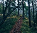Житель Невельска привёз из Южно-Сахалинска наркотики для себя и друга 