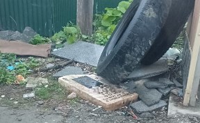 Общество