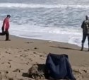"Бомба!": горбуша на Сахалине выбрасывается из моря к ногам рыбаков