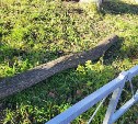 В Углегорске устранили последствия сильного ветра, который повалил деревья