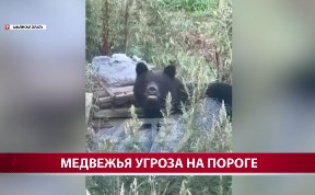 Общество