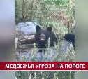 На Сахалине с начала года "изъяли" уже 71 медведя