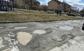 Общество