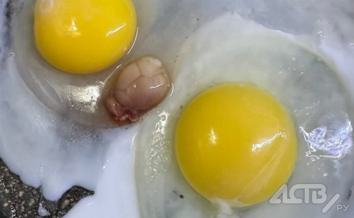 На сахалинской птицефабрике объяснили, кусочки чего попадаются в их яйцах