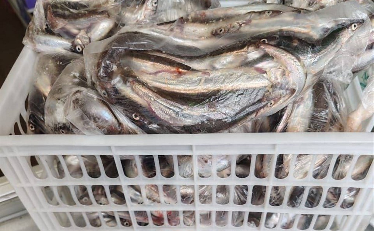 Уёк начали продавать в Южно-Сахалинске: цены