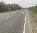 Очевидцев смертельного ДТП на корсаковской трассе ищет ГИБДД