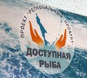 В «Доступной рыбе» в Южно-Сахалинске продолжают участвовать 90 магазинов