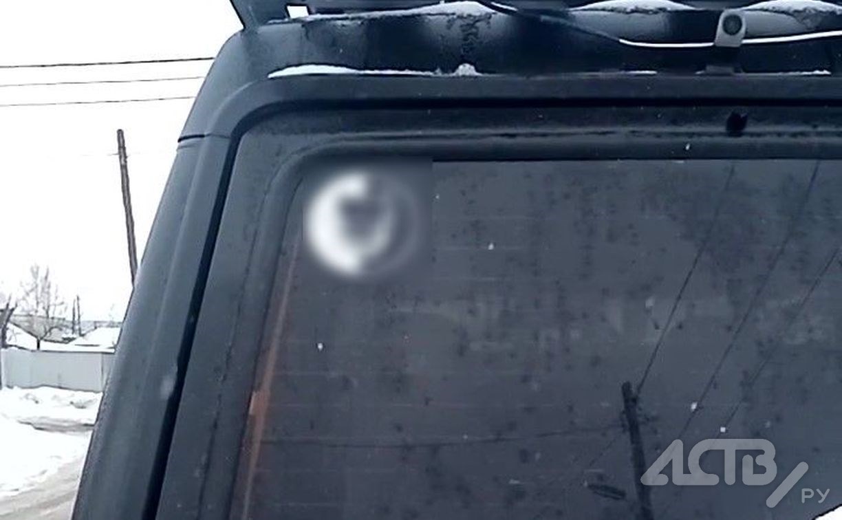 Сахалинка попала в отдел по борьбе с экстремизмом из-за наклейки с собакой на автомобиле