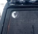 Сахалинка попала в отдел по борьбе с экстремизмом из-за наклейки с собакой на автомобиле
