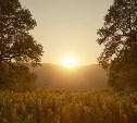 Жара до +28 °C и небольшой дождь: прогноз погоды на 7 июля в Сахалинской области