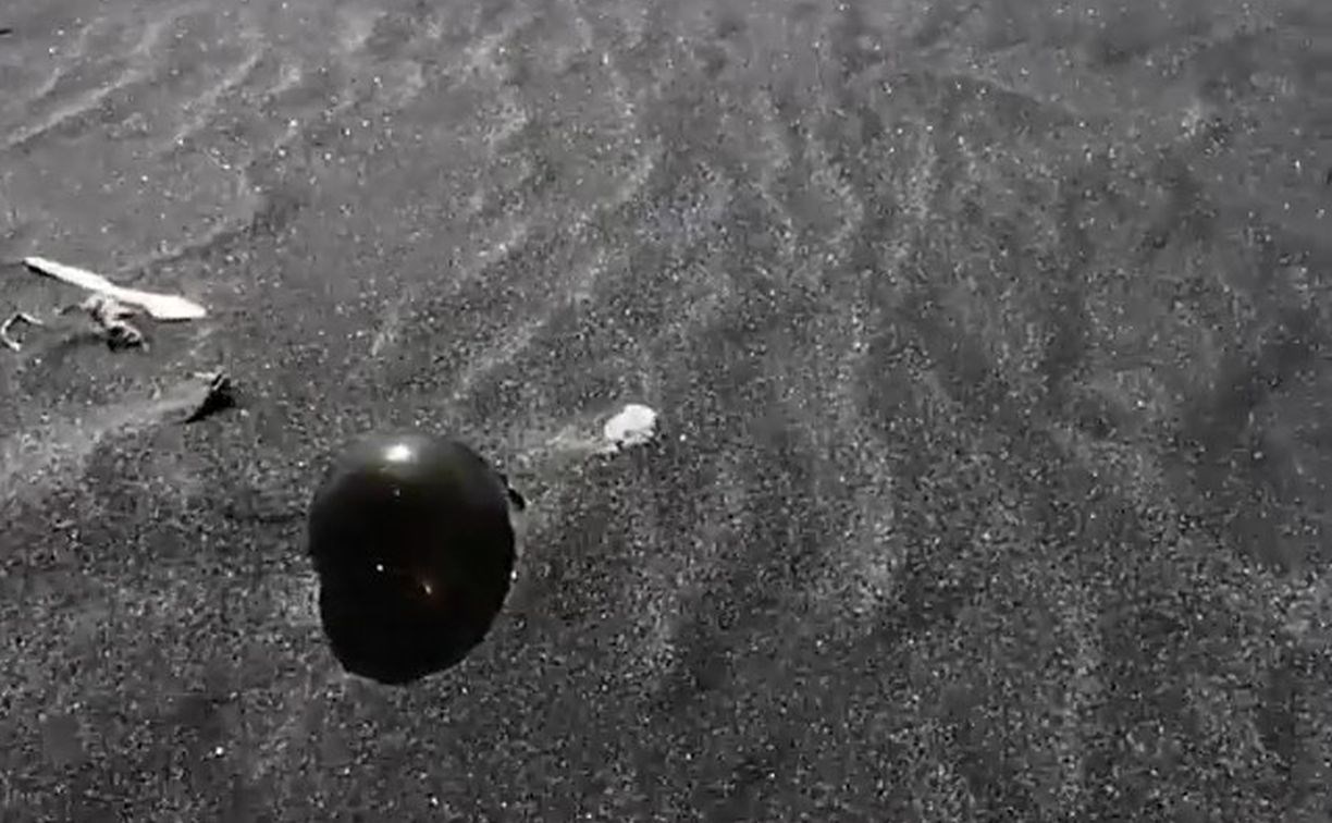 "Чертовски приятно": курильчанин нашёл на берегу моря японский поплавок неожиданного цвета