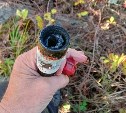 Житель Южно-Сахалинска "отбился" фальшфейером от двух медведей у водохранилища 
