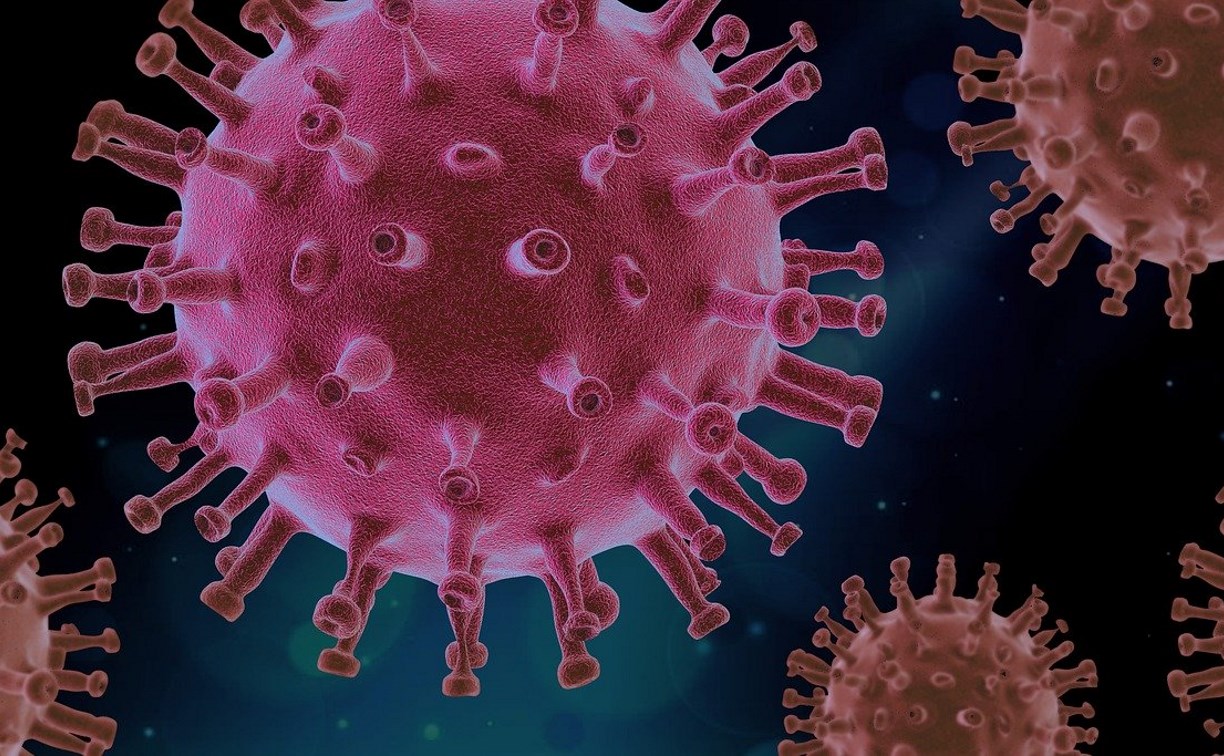 На Сахалине и Курилах 49 новых случаев заражения коронавирусом 