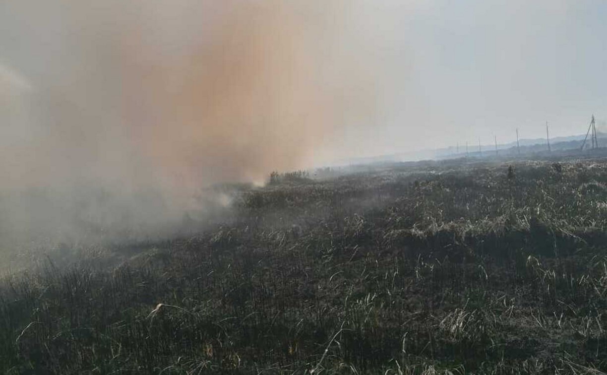 На берегу моря в Анивском районе огонь охватил 100 "квадратов" травы