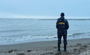 Происшествия