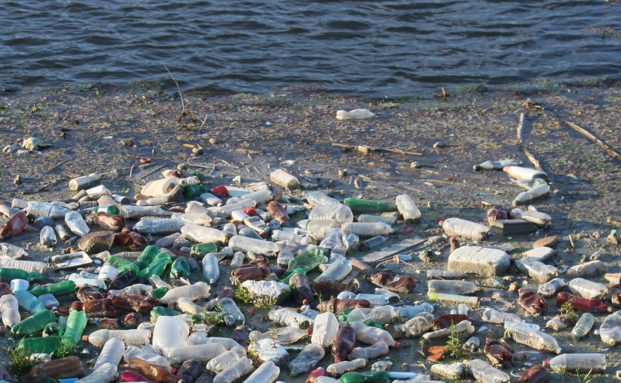 Загрязнение пластиком спровоцировало новую болезнь