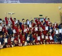 Областной турнир по самбо прошел в Корсакове
