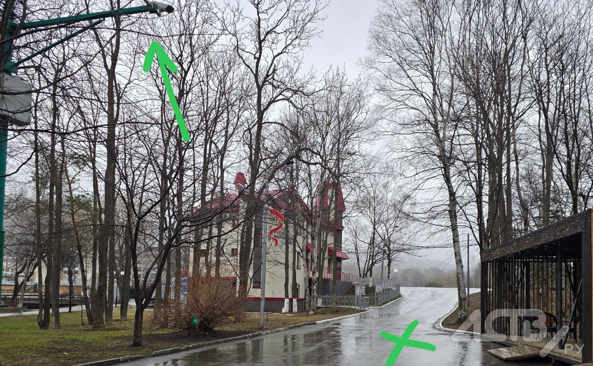 В Южно-Сахалинске ищут свидетелей наезда самокатчика на ребёнка в городском парке