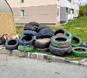 Штрафы за незаконный сброс мусора для жителей Южно-Сахалинска хотят увеличить  