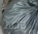 Южносахалинцы сообщают о нашествии крыс у мусорных баков во дворе на Курильской